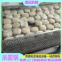 操作高温自动灭菌杀菌釜
