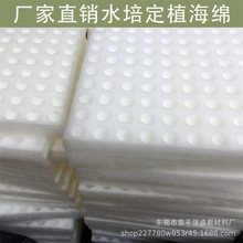 loζˮ纣ޟoຣdֲd߲˷Nֲ