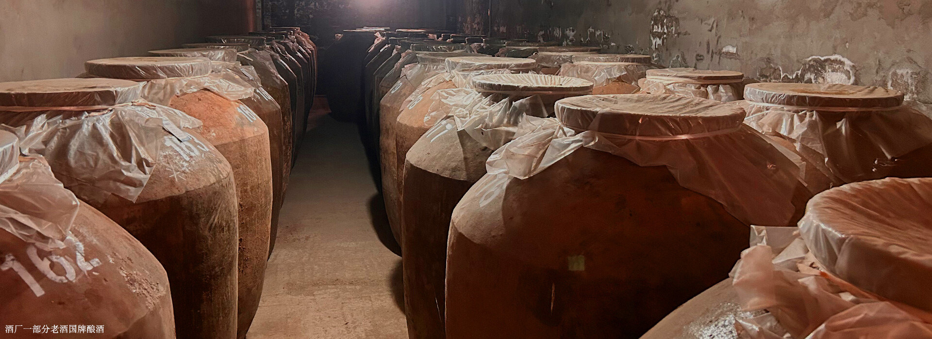 0fbc25b94a101e01520f005e2a5ed5