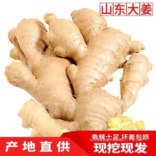 ɽ�|���r�����Ͻ��F؛�Ȱl���]���ӽ��L�ɽ����r���x��