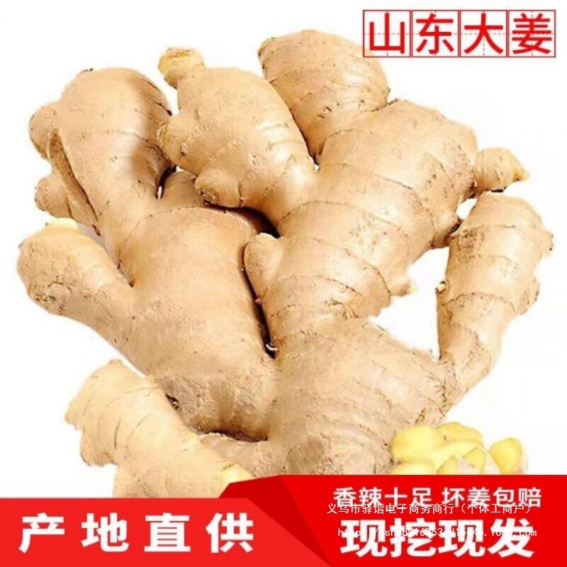 Shandong Ginger, Fresh Ginger, Old Ginger, in Stock, Free Shipping, Postpartum Ginger, Air-Dried Ginger, Freshly Selected Large Ginger