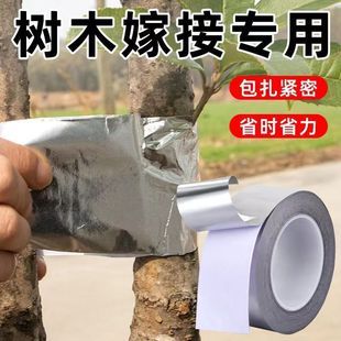 ��ľ�޽��辰�ޏ��X���z���@ˇֲ����ڷ���N��֦�пڱ؂��ܷ�