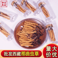 �����x�ݸɶ��x�ĲݶY���b�����x�����l���x�ݟo����C�����r�x��