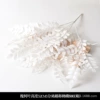 5 fork locust trees white