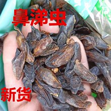 ���u�����x����50g���]ˮ���� �����x ��Ʒ������Ʒ ��΁��؛��؛