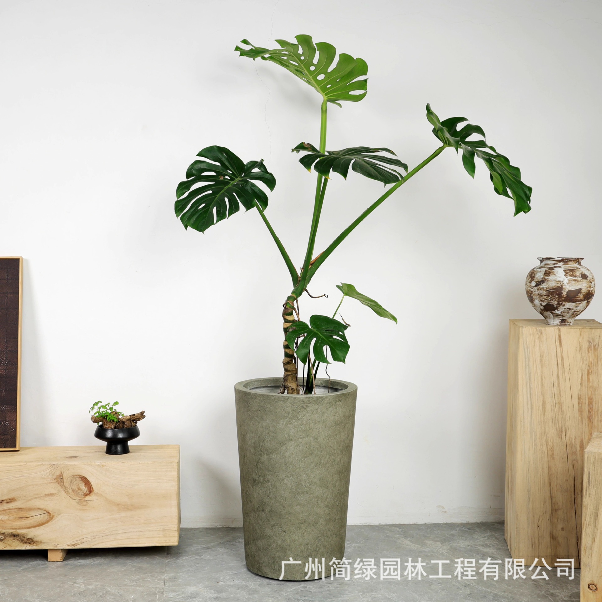 Maceta de barro de magnesio de alta gama de lujo ligero, estilo alto, gran planta verde simple, patio interior, tienda, villa, lavabo de arte de piso