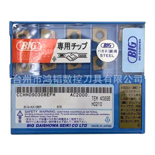 ���lBIG���Ѻ͵����M�׵�ƬCCMM090308EFM AC2000�C���ȿ׵��^