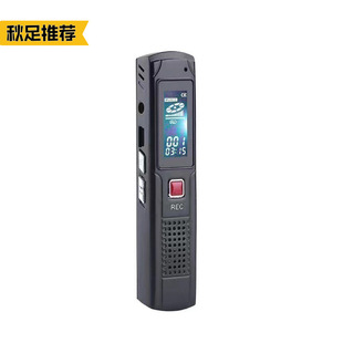 Factory Direct Selling Cheap SK013 Voice Recorder High Definition Noise Reduction Conference Portable mp3 Player