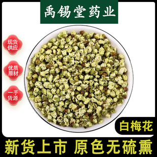 ��÷����ș�����l��Ȼ��؛�G÷���ɾG��÷��÷���ݲ�ˮ�����Mĥ��