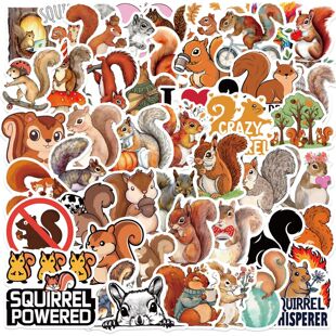 50����ͨ����T�f�N���b����Pӛ���֙C������DIY�羳��ˮ���l