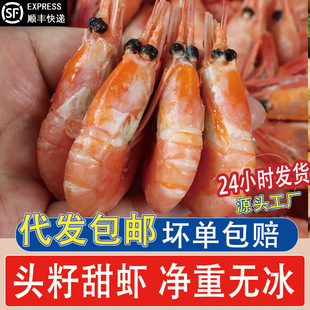 ���O���r����^�����r��ʳ���r���펧�Ѵ�̖���r���rˮ�a�������l