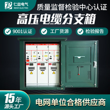 �߉���|��֧��DFW-12����h�W��10KV�_�]�� ��|��֧�� ���a�S��