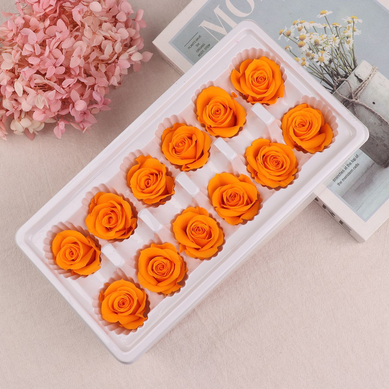 Cabezas de Rosa Eternas A+, 3-4 cm, 12 Piezas, Materiales para Manualidades Florales, Caja de Regalo, Fabricante, Venta al por Mayor