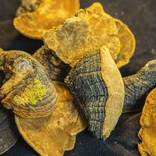 ҰɣSɣɣSҰrɣS`֥ɣSɰ]