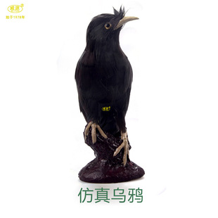 ��Դ �ֹ�ˇƷ ������� ��ë��� �����B �͸���f С���BB049