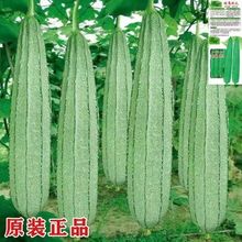 ��Ǵ���z�ϷN�Ӱ˽�ˮ���̨�ˈ@����ͥԺ�߲˷N���ļ��＾