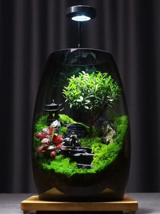 ������������̦�\΢���^���Bƿ����Ԓ������Ԅ���[���k����ֲ��