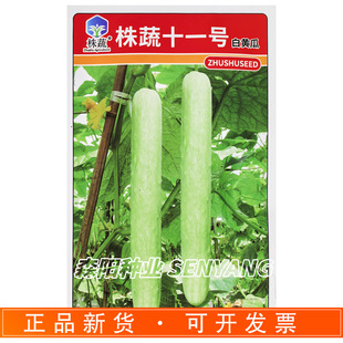 ����ʮһ̖������S���s���N�r�ۺóԟo��ζ���＾����gꖰ��S��