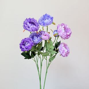 3�^ĵ�����W�L��Ҿ� �����廨�[������c�Y����̨���Ų��÷��滨