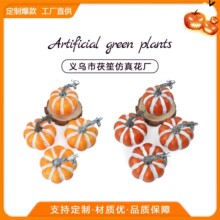 ���R�d�羳�����Ϲ�ģ���S�չ������f�}���b[���ж����Ϲ�