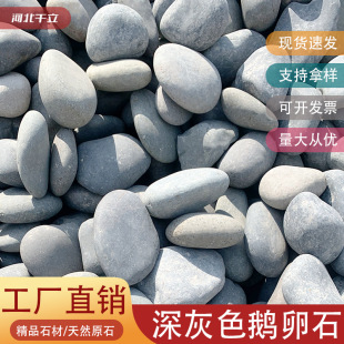 Spot High-Quality Dark Gray Pebbles Project Professional Garden Decoration Landscaping Paving Fish Tank Landscaping Gray Pebbles