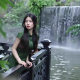 [Danqing Guest] New Chinese Jacquard Improved Cheongsam Female Spring Temperament Retro Short-sleeved dress