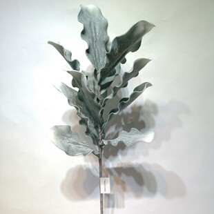 ���滨EVA��ĭ���Ƶ� �Ӱ巿�b�ܛ�b��ˇ�鼆�zӰ