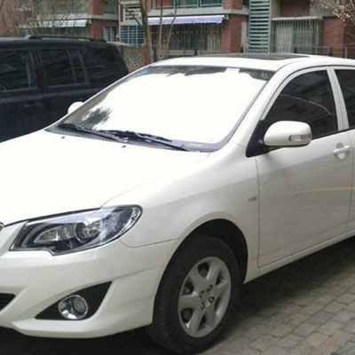 Dragon to dazzle Yize — Avtomobil boya qələmləri - white