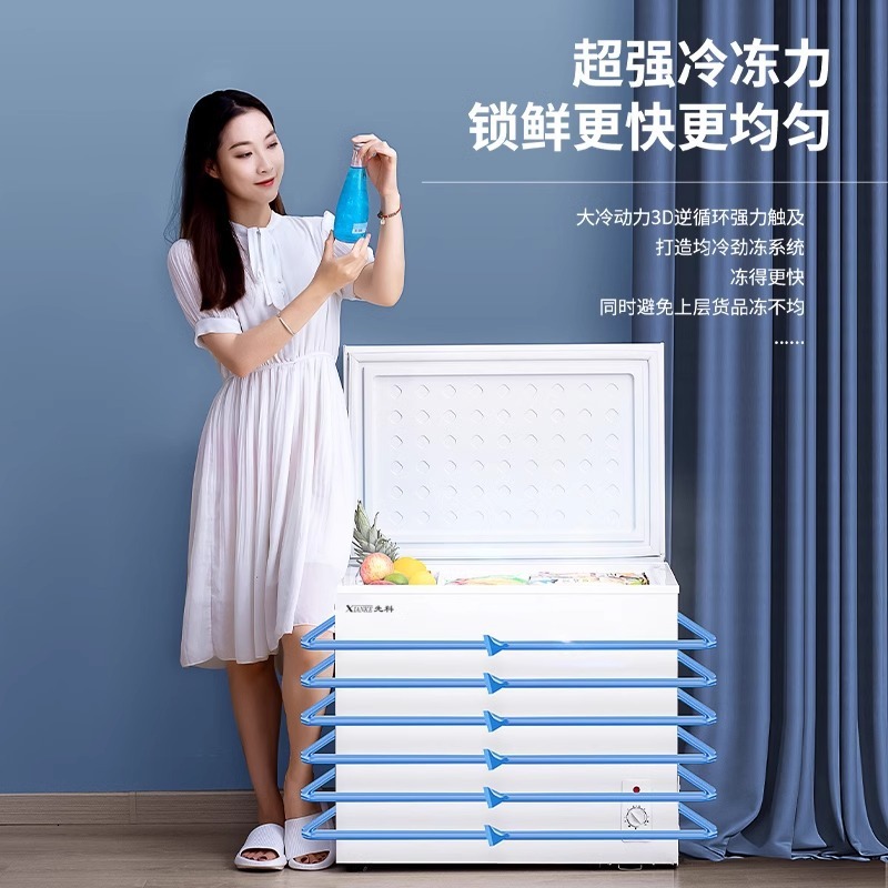 先科节能小冰柜家用迷你减霜商用冷柜小型全冷冻冷藏两用冷柜|undefined