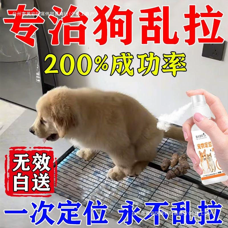 Руководство по приучению собак к туалету для щенков, чтобы они дефекировали и мочились в отведенных для этого местах.