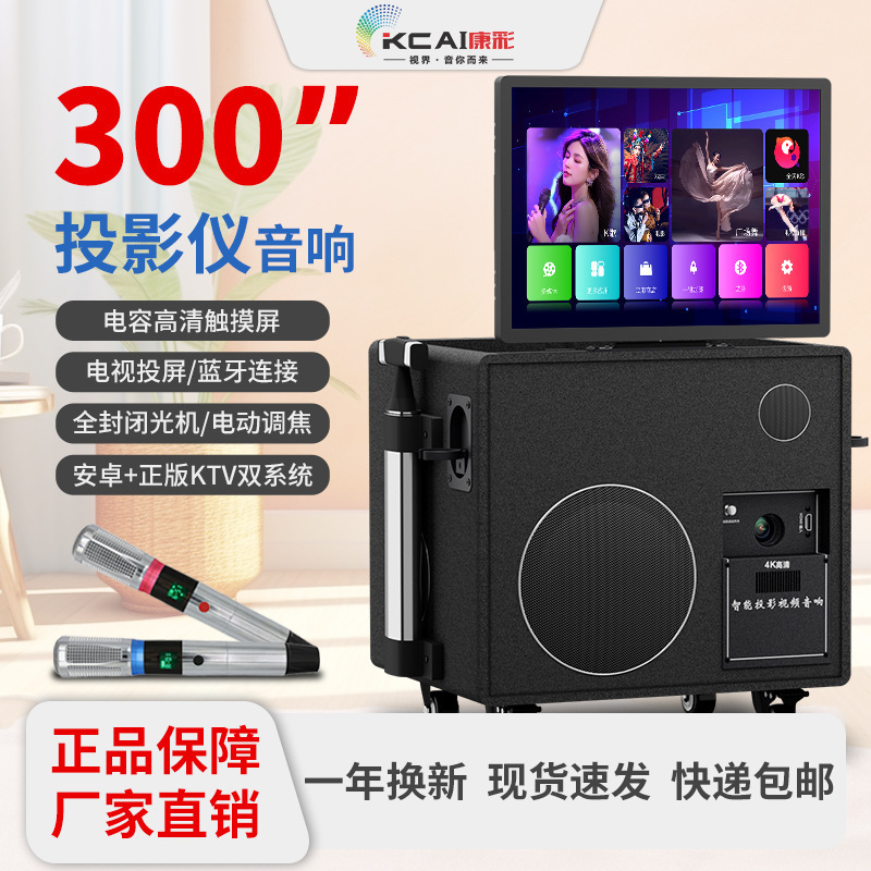 Outdoor projection audio and song all-in-one high-power bass professional karaoke performance mobile karaoke speaker