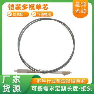 Mouse-proof optical fiber jumper Armored Multi-Mode single core LC-LC telecom-grade optical fiber jumper indoor single core 4 core 8 core