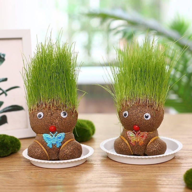 Red césped muñeca de escritorio mini planta de riego hierba larga oficina de plantas verdes balcón interior creativa pequeña maceta