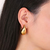 Advanced design universal brand earrings, high-quality style, European style, trend of season