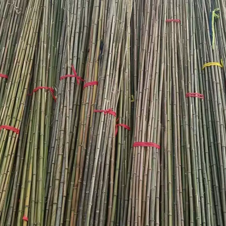 Циндао Продажа бамбуковых изделий Специальный бамбуковый столб для ландшафтного дизайна Защита от высокого давления Бамбуковый флагшток Бамбуковая рама Овощной бамбук Мосо Бамбуковый столб