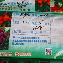 广西厂家地薄膜地膜双色膜防渗水农用花生地膜西瓜地膜种植种菜透
