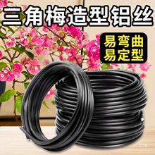 ����÷�辰�����X�z�X���P���X�z������@ˇ�F�z���ܶ���ꇹ�