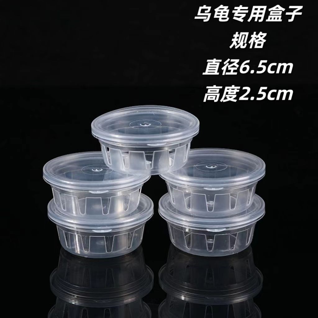 브라질거북 전용 상자 [5개]