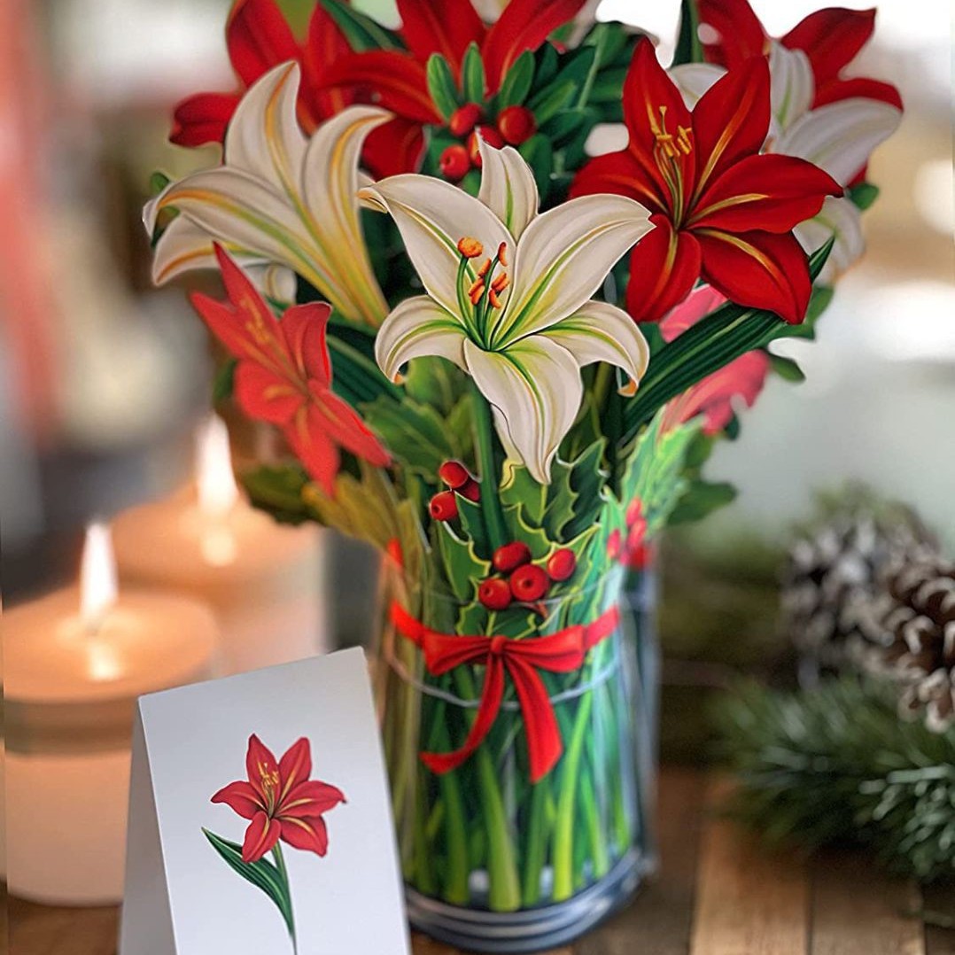 빨간색과 흰색 릴리