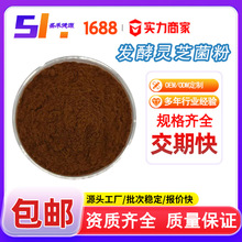 灵芝菌丝粉99% 发酵灵芝菌丝体粉 灵芝提取物 食品级原料现货包邮