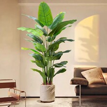 �����B����Gֲ�߶��p�ݷ������͏d�����҃����Ԕ[���b��ֲ��