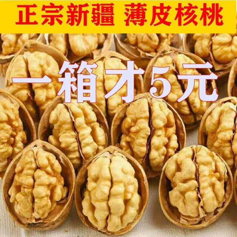 新疆薄皮核桃干果坚果好核桃多规格新货新鲜整箱批发一件包邮