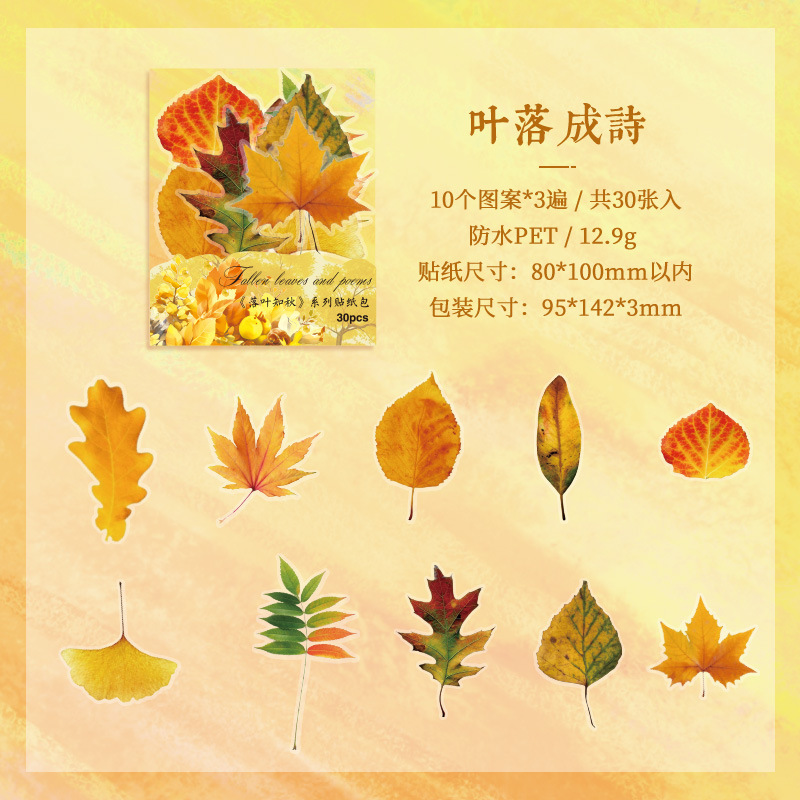 Hojas caídas en otoño impermeable mascotas transparentes pegatinas de tela de mano paquete diy pegatinas de tela de mano materiales vegetales pegatinas de hojas para niños pegatinas de hoja