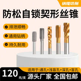 含钴高速钢镀钛楔形30度自锁防松丝锥全磨螺旋槽排泄加倍顺畅丝攻