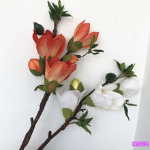 ����Ӣ�ۻ���֧�ٻ��͏d���Ҳ�ה[��ľ�޻����m��������ֻ/����