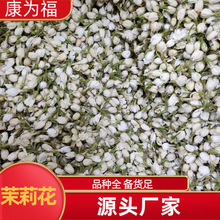 茉莉花 花茶茉莉 中药材茉莉花 散零批发 代打粉 各种冷背