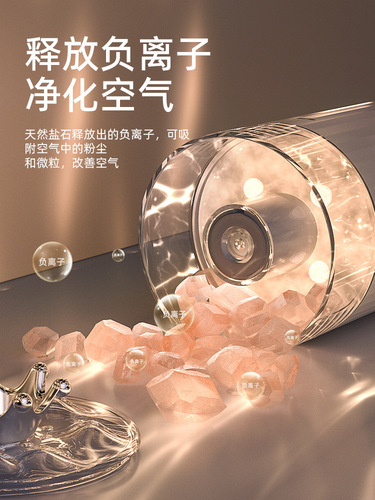 Salt Stone Aromatherapy Diffuser Humidifier USB Charging Home Bedroom Multi-color Petal Night Light Office Small Mist Maker