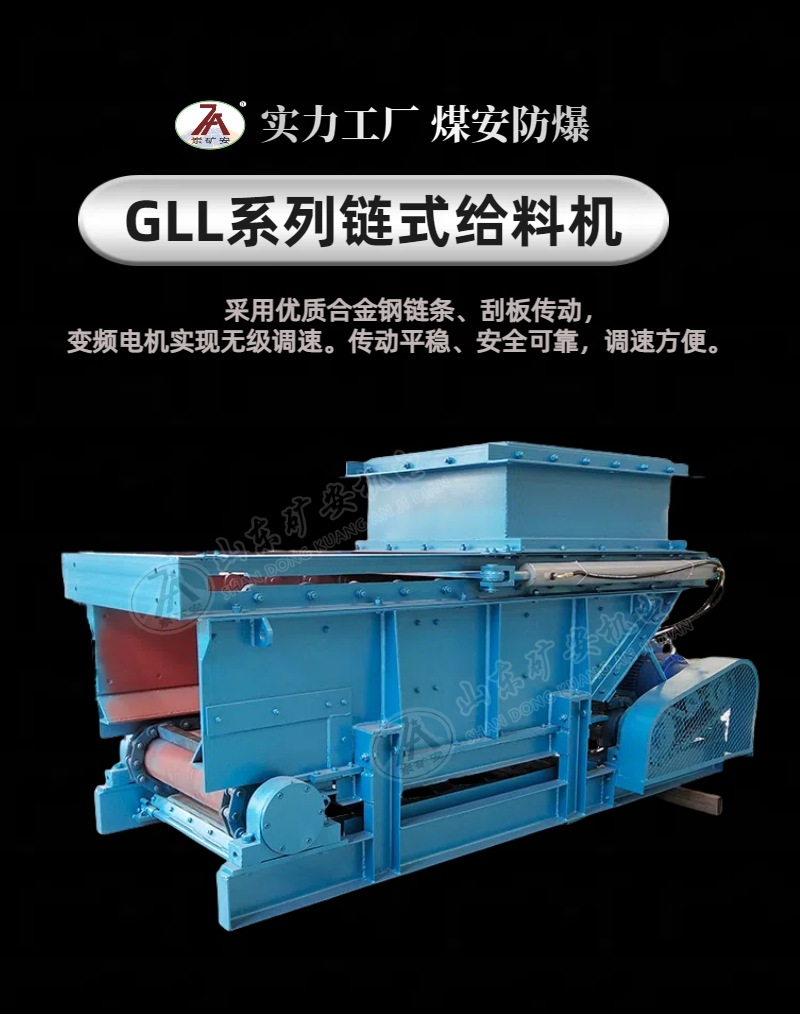 链式给料机详情 (1).jpg