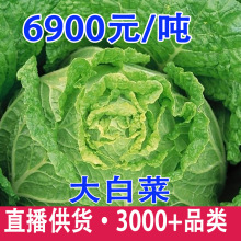 �Fժ�Ĵ�ɏ�������r�����r�Ҿ��Ĳ˾G���{��˺�ײ��߲�