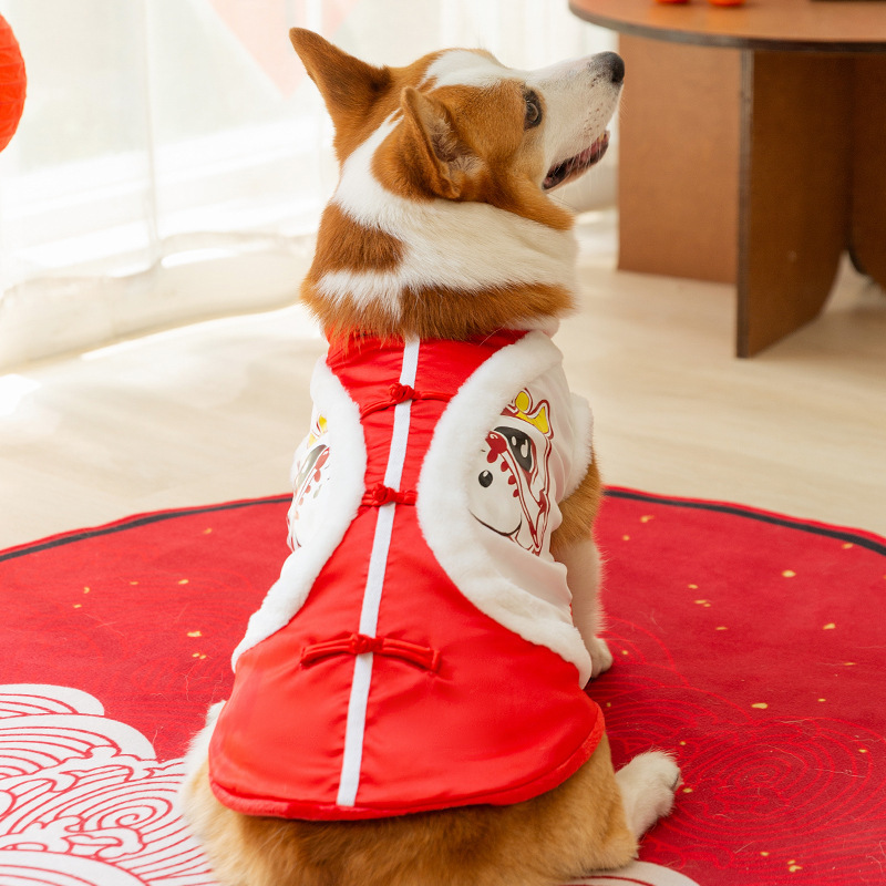 Otoño y invierno de Año Nuevo Keqi Tang traje de perro pequeño y mediano perro salchicha dos patas abrigo de algodón banco perro ropa de mascotas
